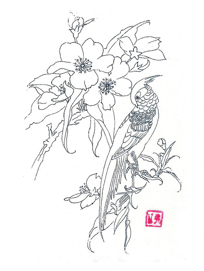 Pencil Drawings Of Birds And Flowers pencildrawing2019