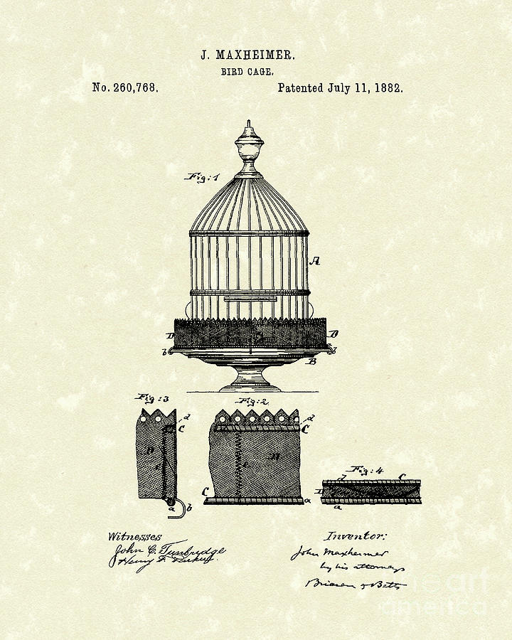 Bird Cages Drawings