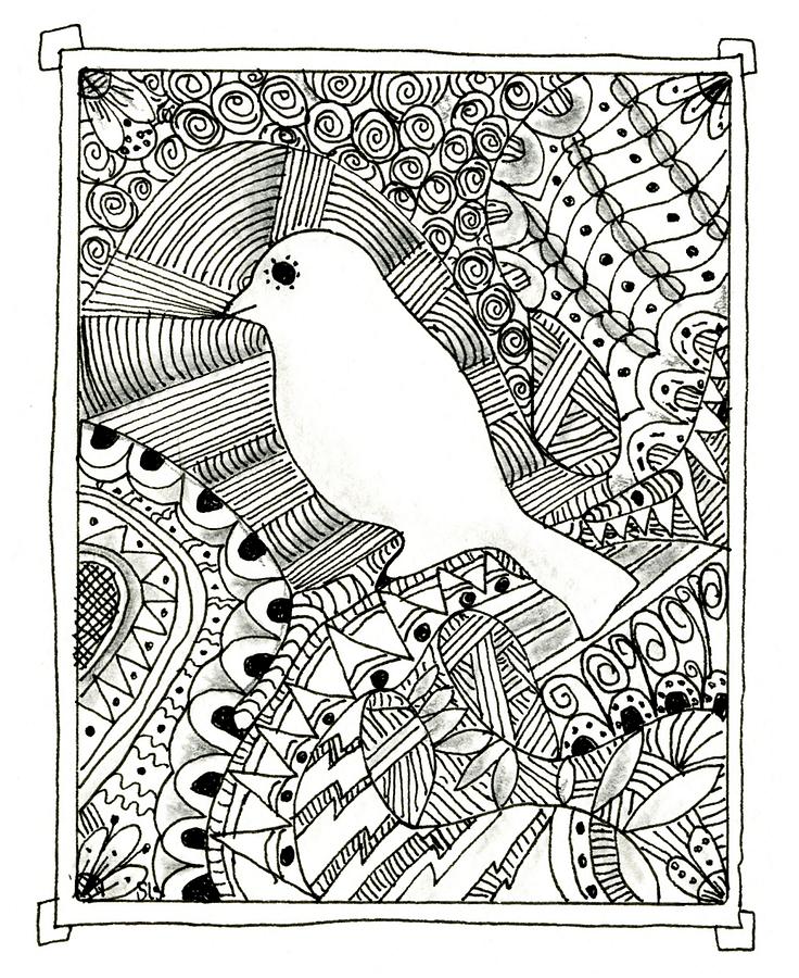 bird story