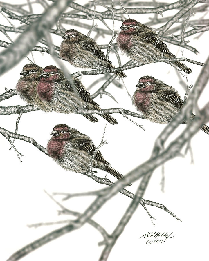 Birds In Winter by Kurt Holdorf