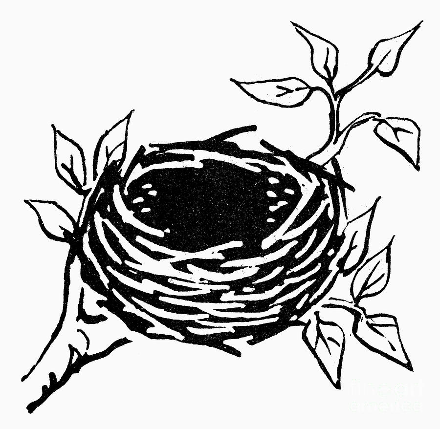 clipart nest black and white - photo #32