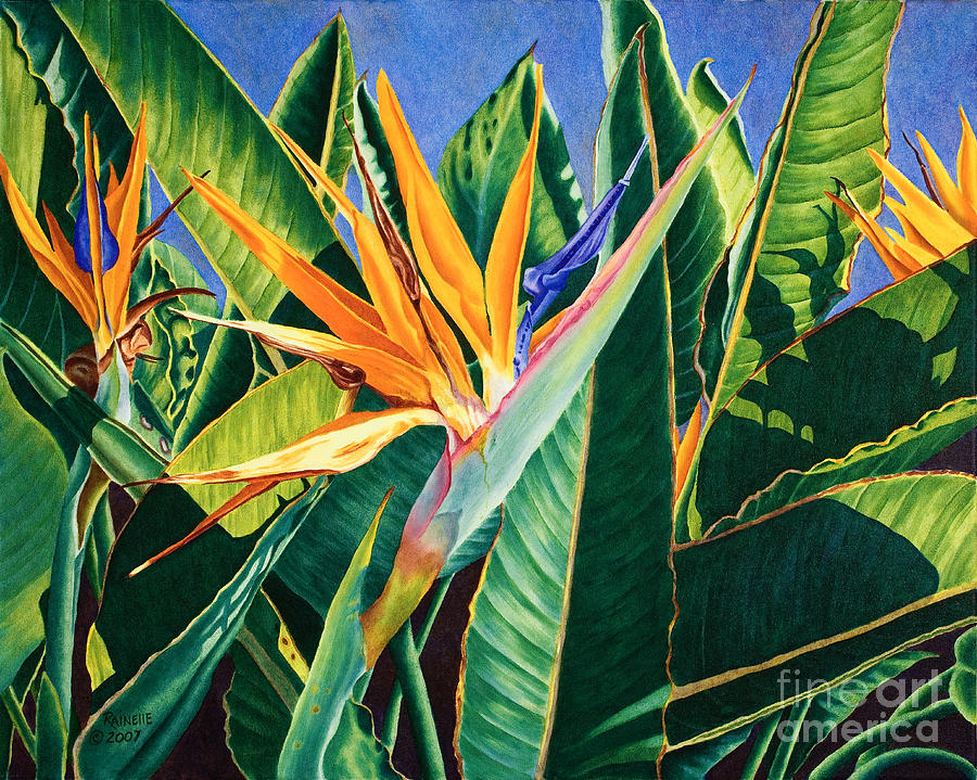 Birds Of Paradise Painting by Rainelle Meridith