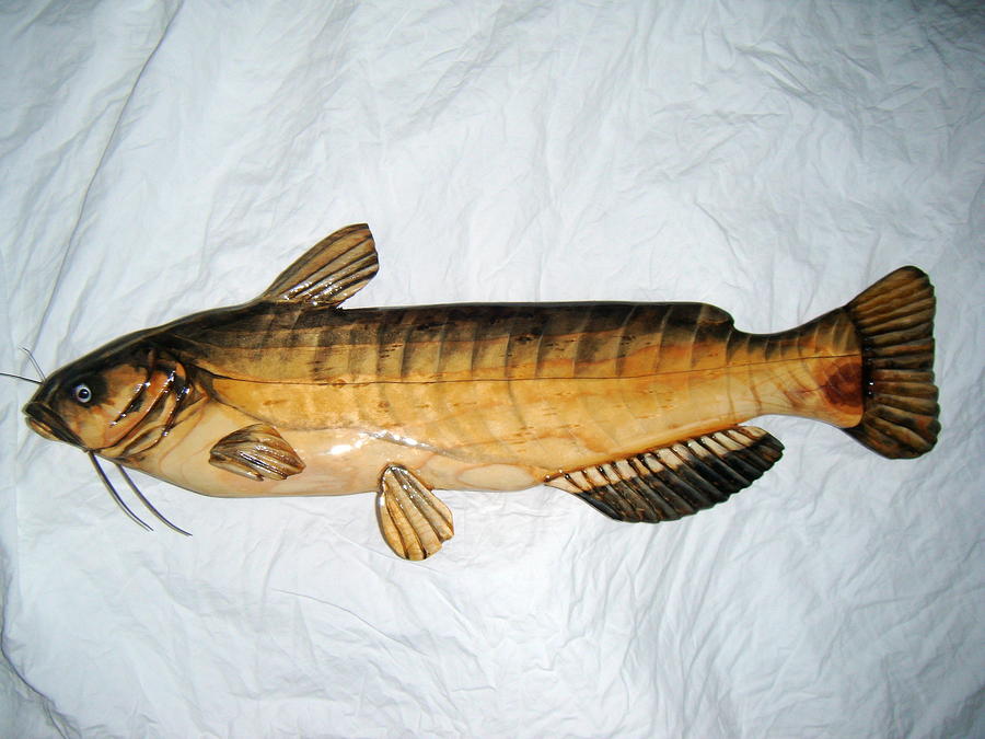 Bullhead Catfish