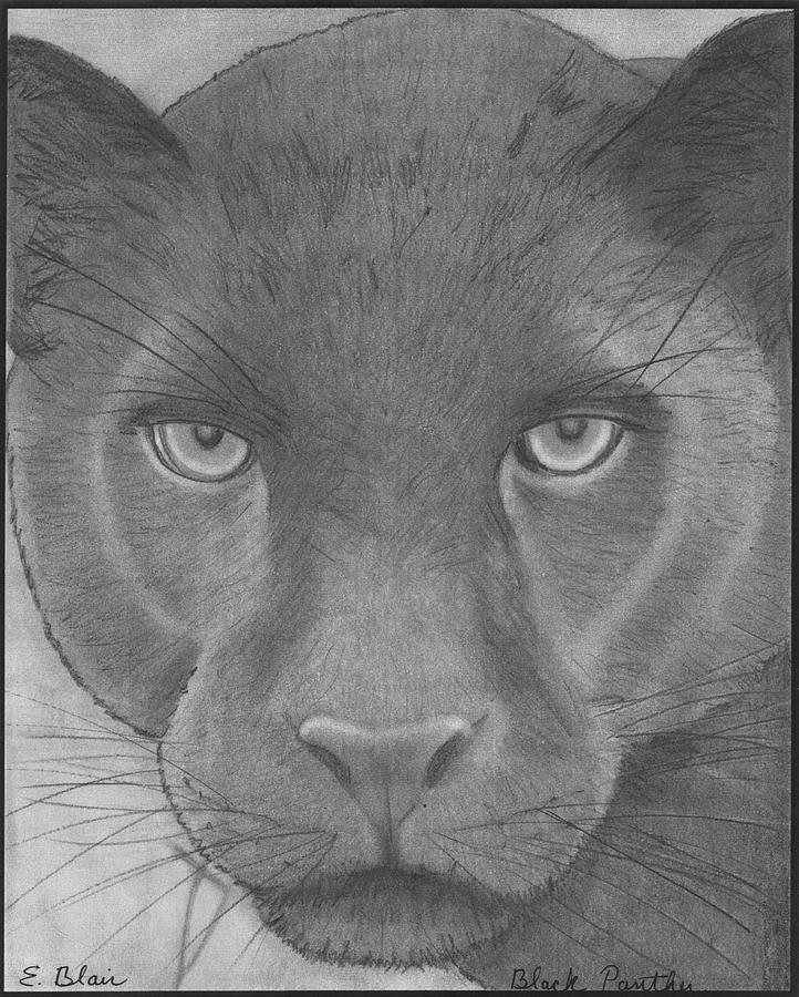Black Panther Drawing 74