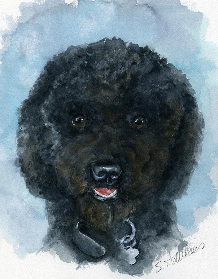 Poodle Puppies Black