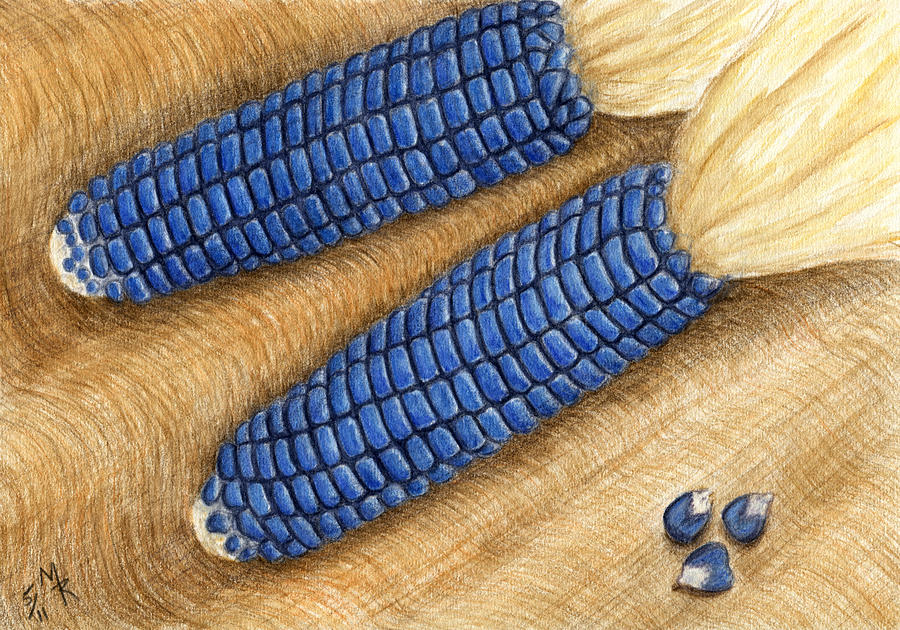 blue corn
