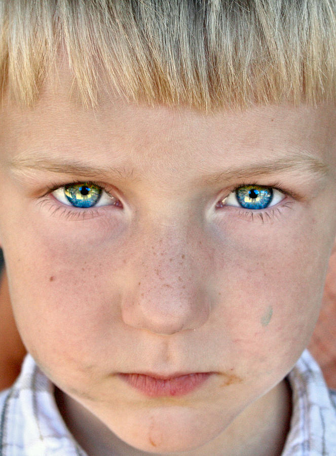 blue eyes and dirty face sally bauer