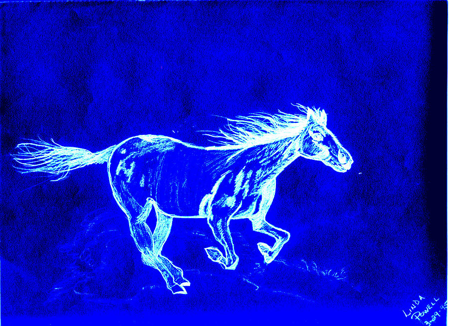  - blue-horse-linda-powell