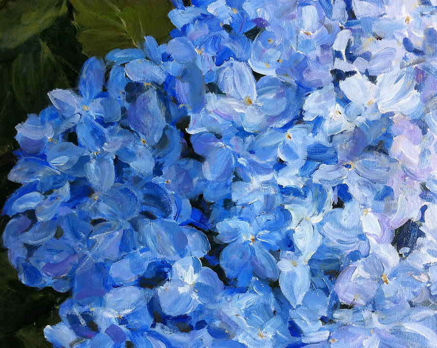 Blue Hydrangea Paintings