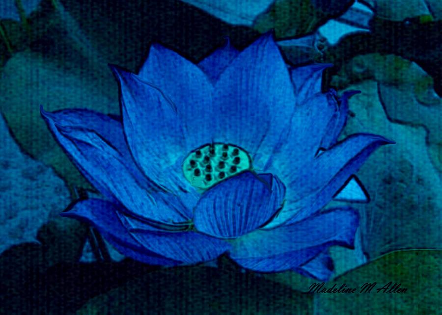 Blue Lotus