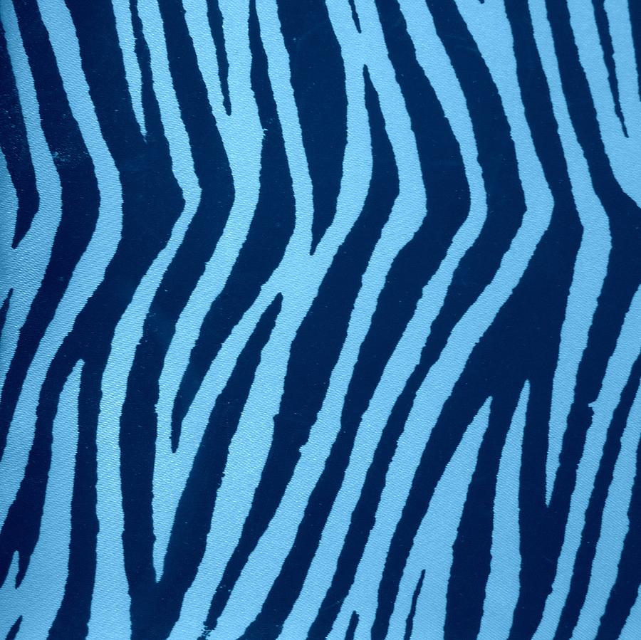 blue and zebra