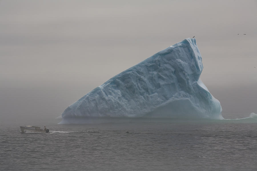 Boat Passing Iceberg In Fog, Quirpon Photograph By John Sylvester