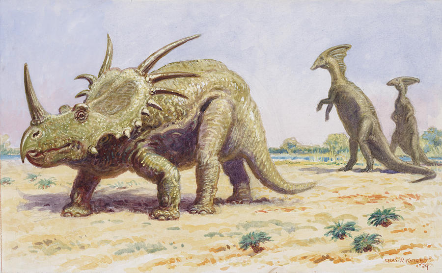both-the-styracosaurus-right-charles-r-knight.jpg