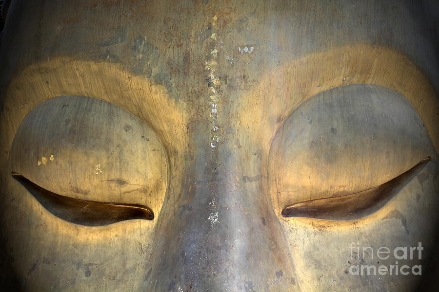eye of buddha