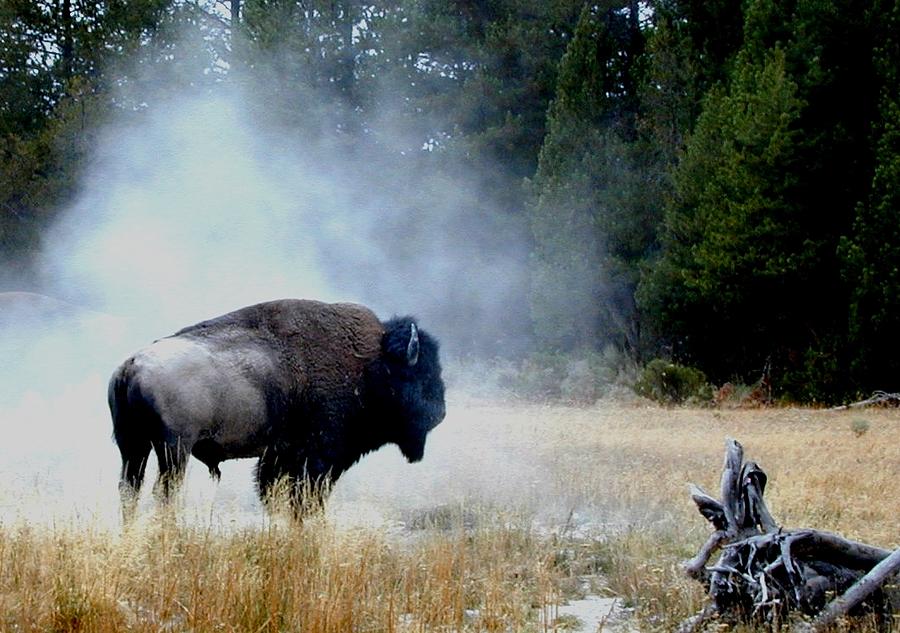 Buffalo Hump by Rick Repp