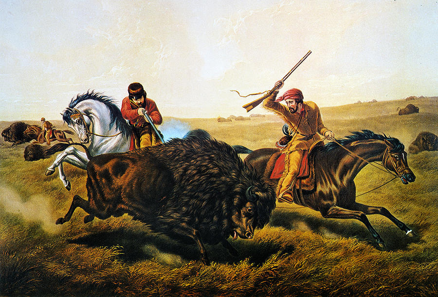 buffalo hunt