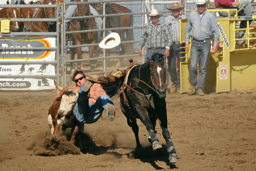  - bulldogging-at-the-rodeo-christine-till