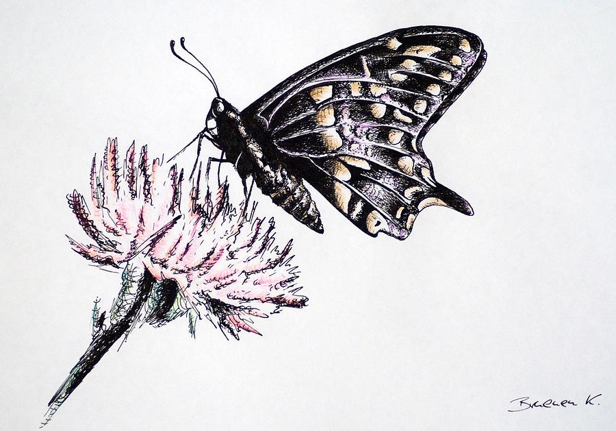 Butterfly Drawing Butterfly