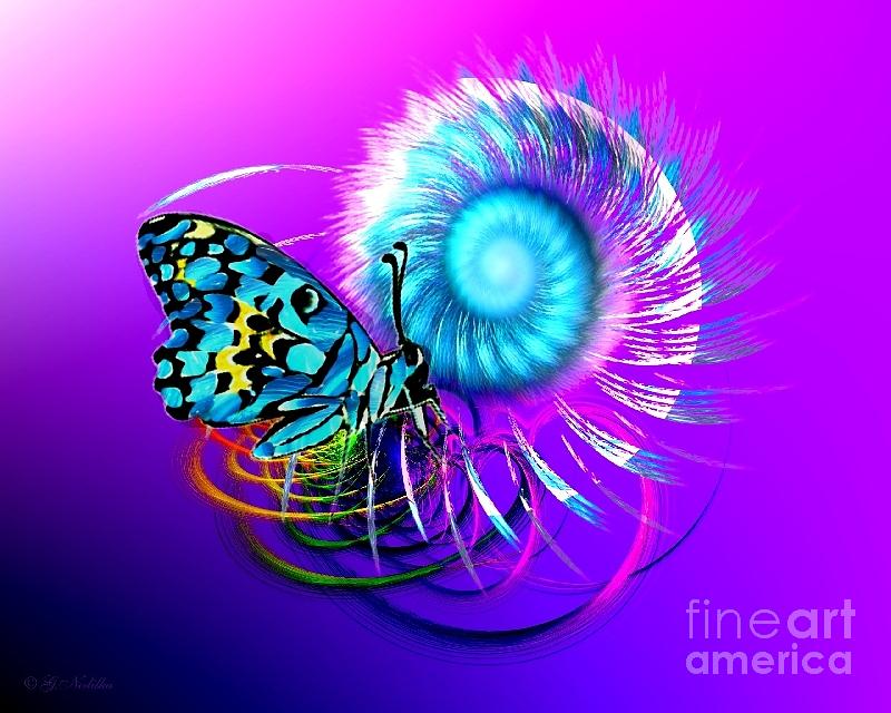 http://images.fineartamerica.com/images-medium-large/butterfly-magic-gabriele-nedilka.jpg