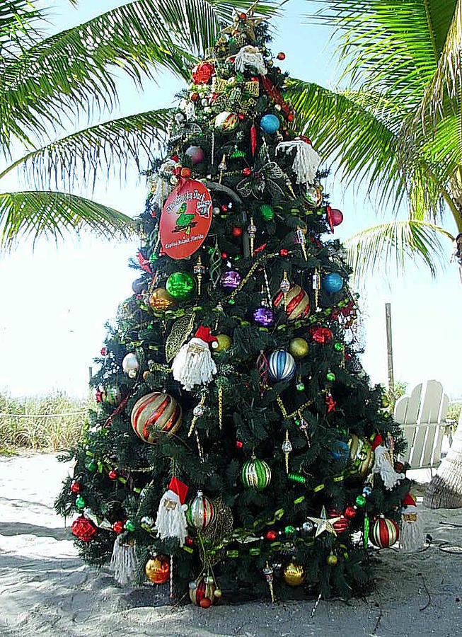 Captiva Island Christmas by Debara Splendorio Captiva Island