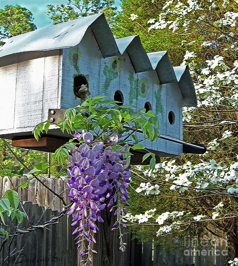 Bird Hotel