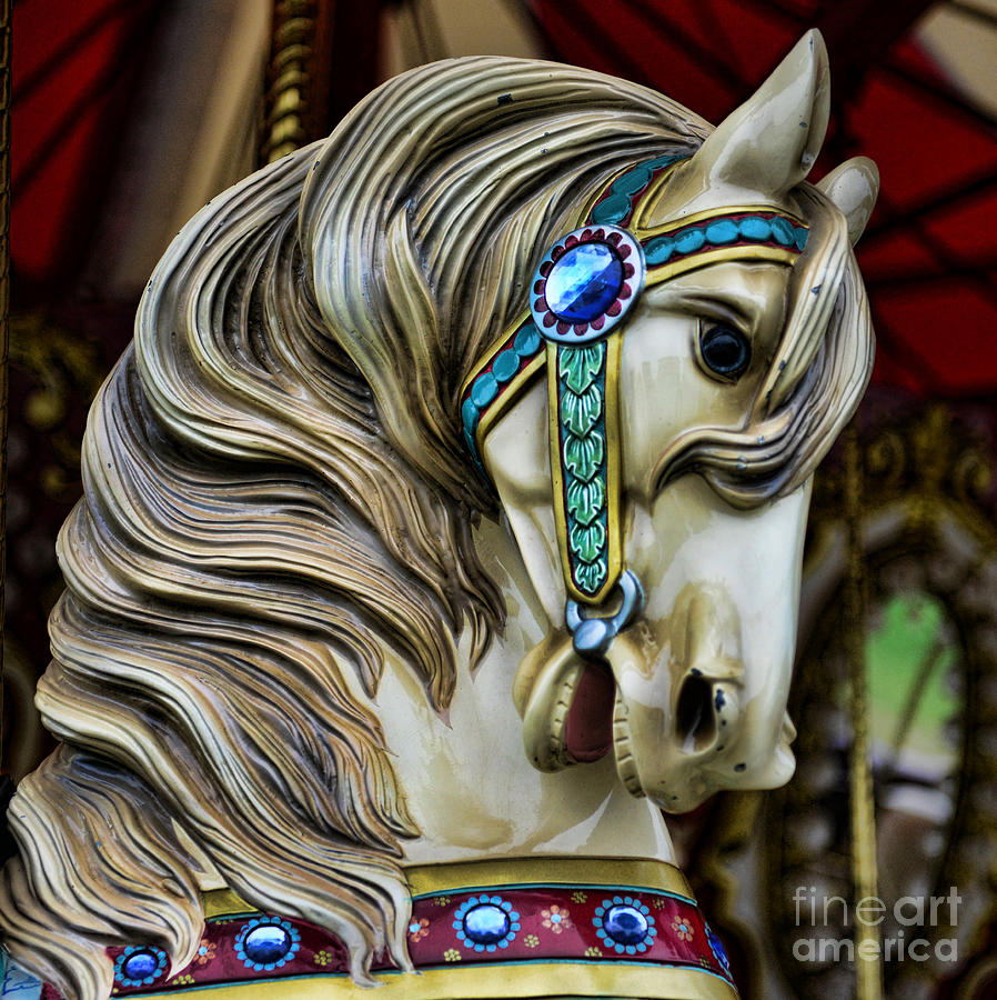  - carousel-horse-paul-ward