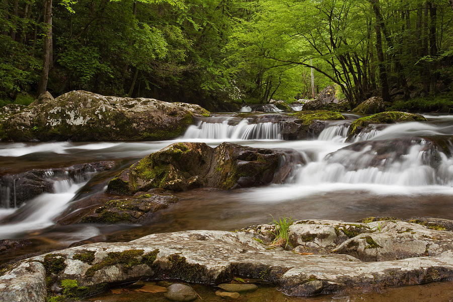 Cascading River