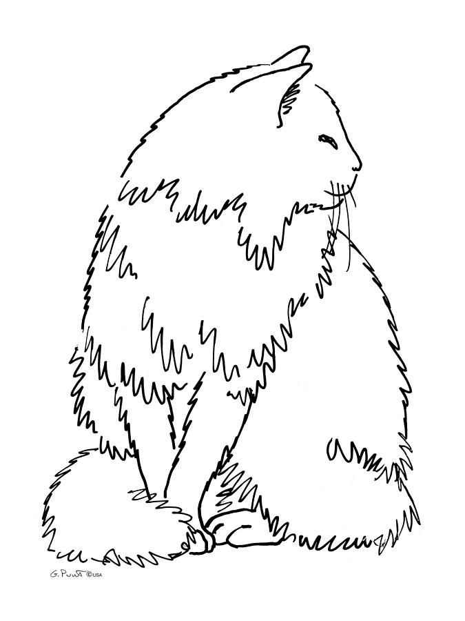 Cat Drawing Image