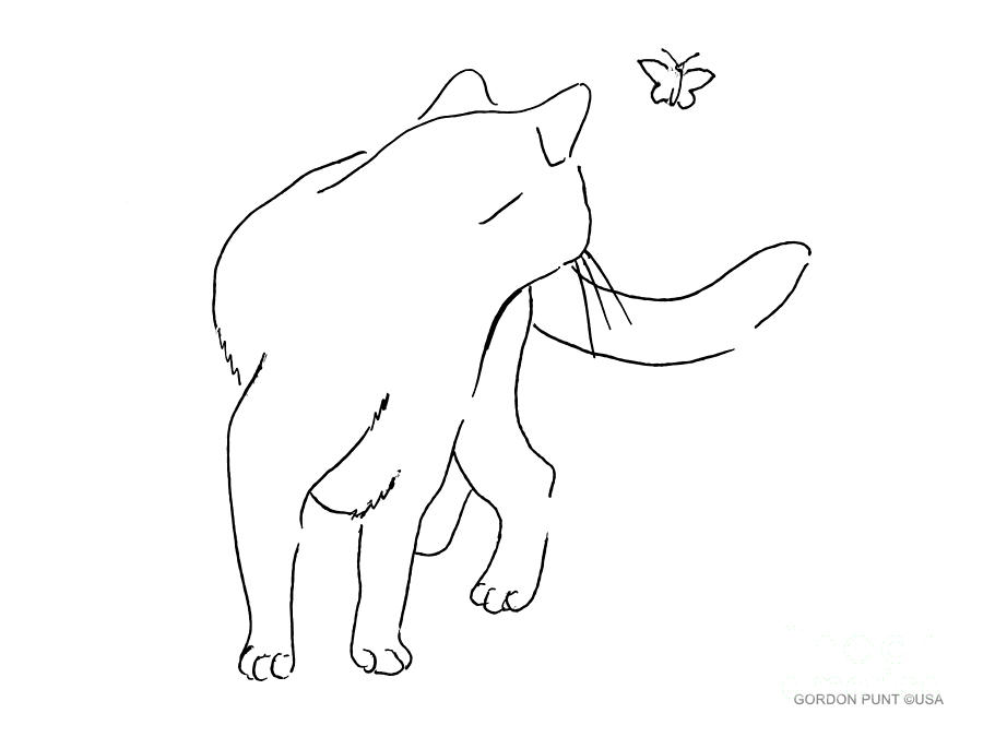 Cat Drawing Image