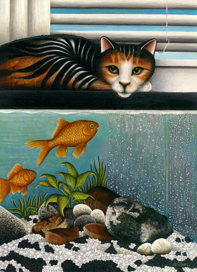 Cat Aquarium