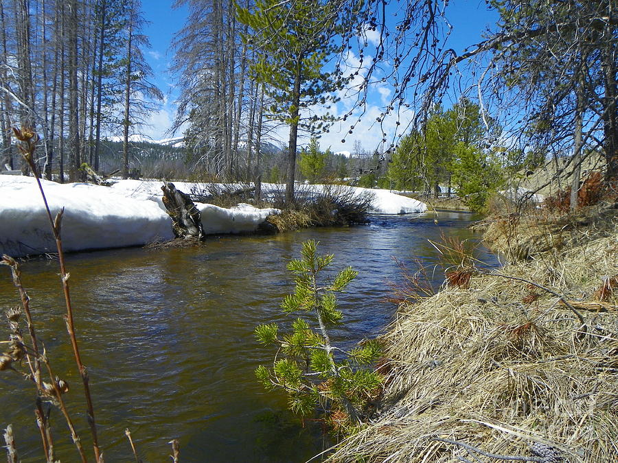 Charming Nature Photography - Its Still Winter In The Mountains ...