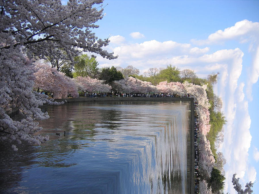 Cherry Blossom Waterfall Photograph By T C Creations 