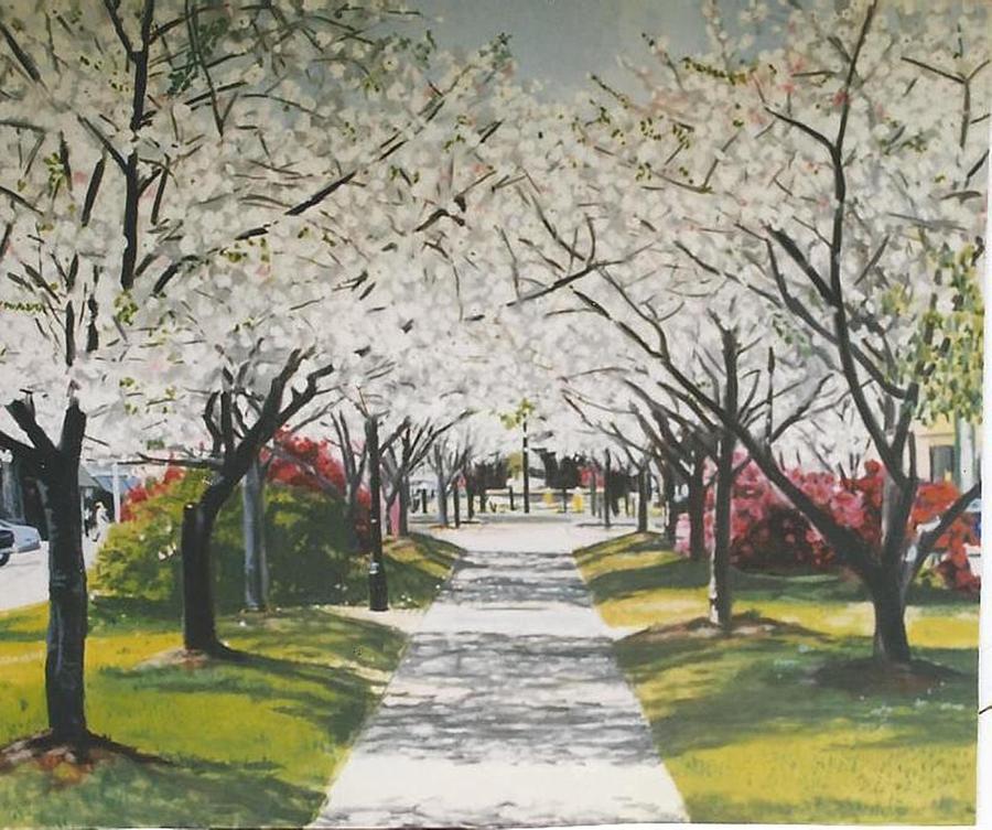 Cherry Blossom Georgia