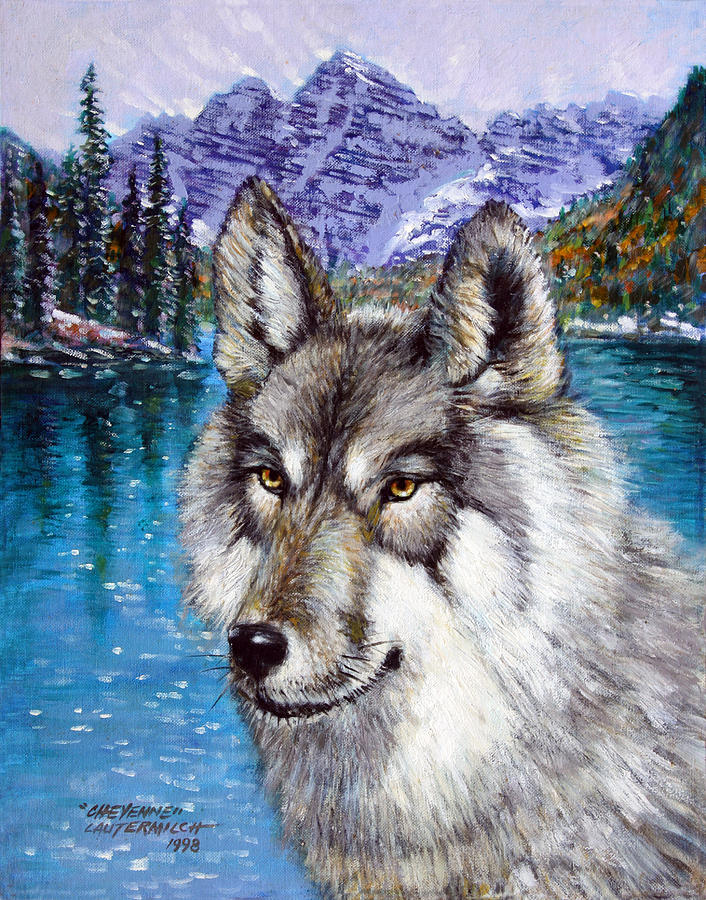 Bild zu Cheyenne Wolf