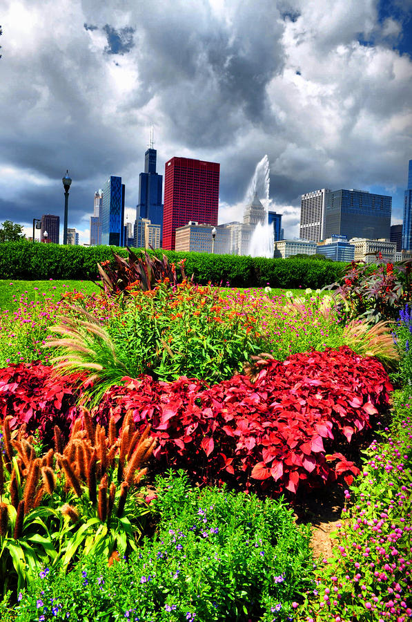 chicago in flowers photograph by emily stauring chicago in flowers photograph by emily stauring