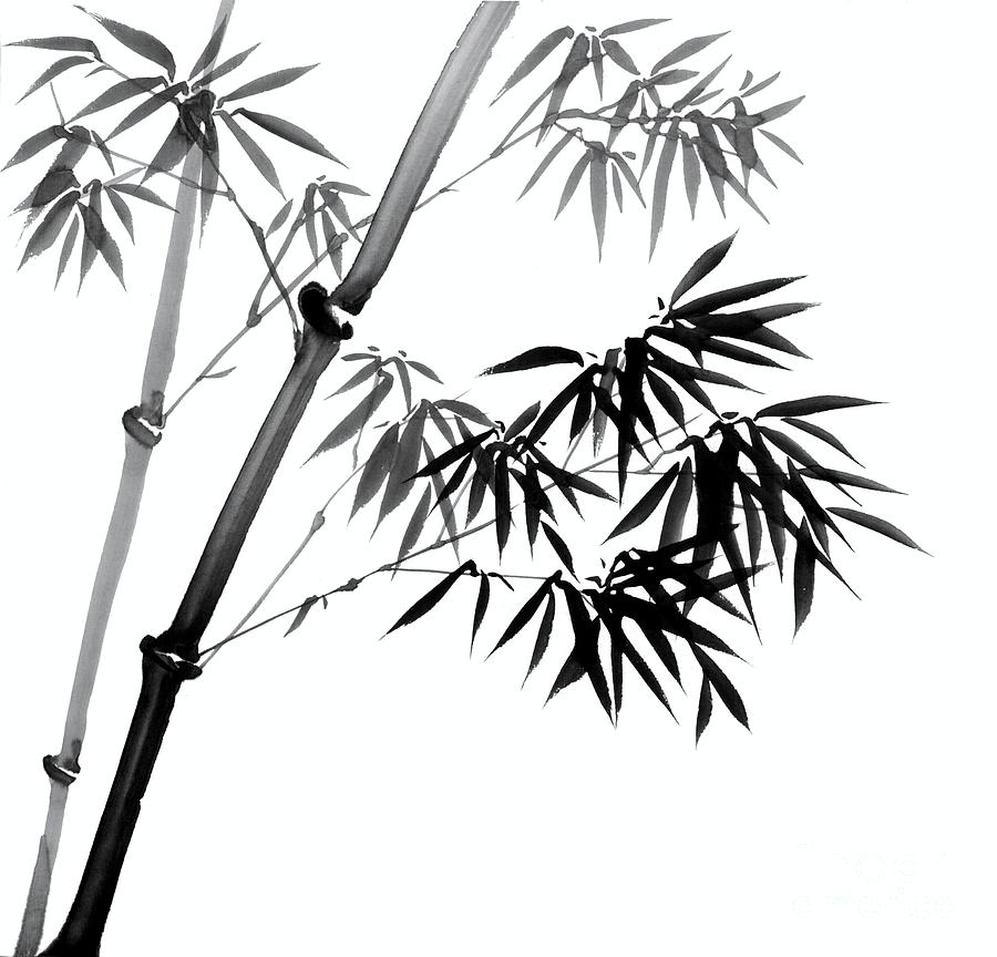 Drawing Bamboo