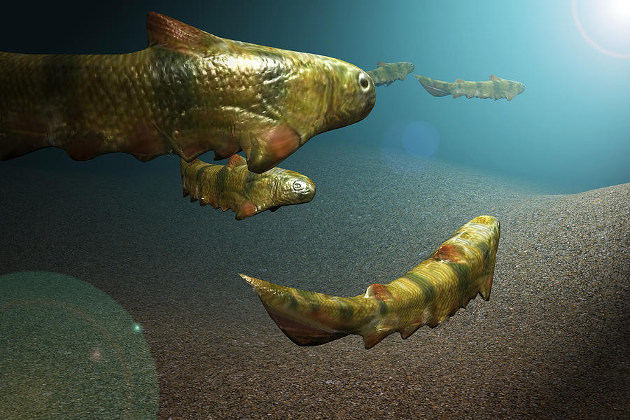 prehistoric fish dinosaur