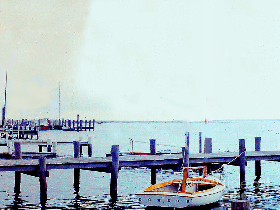 Condor At The Dock Photograph By Merton Allen Pixels