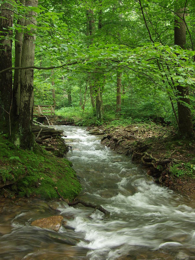 Coopers Rock Wv