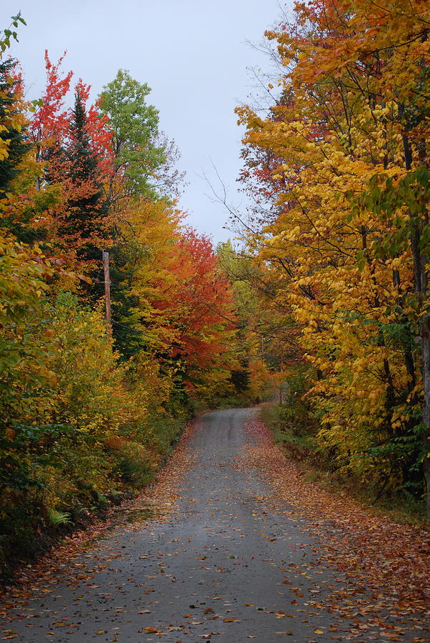  - country-road-in-nh-gloria-warren