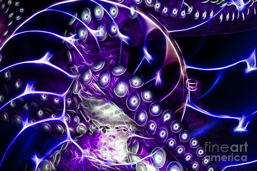 Creatures Of The Deep Octopus Caught In The Swirl Of The Giant Nautilus Electric Purple