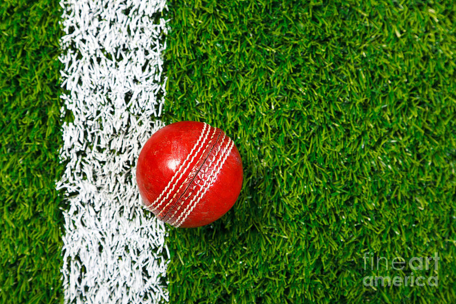 Cricket Ball Grass