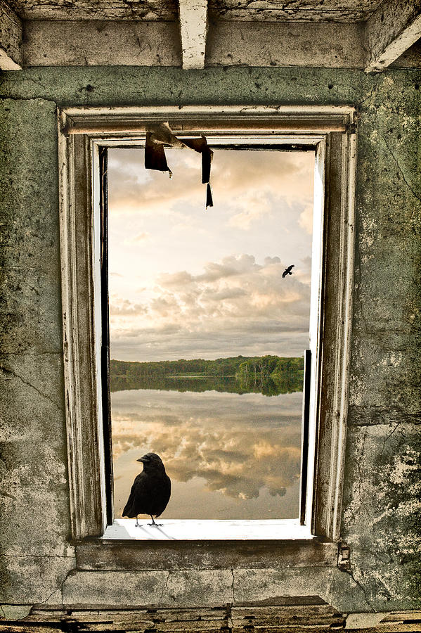  - crow-on-window-sill-dennis-krull