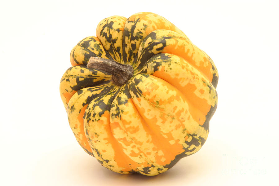 Decorative Squash by Ted Kinsman