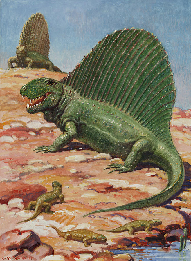 dinosaur with a spiny back