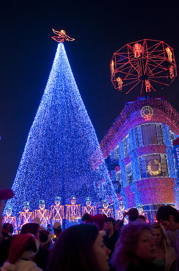 disney christmas lights spectacle by charles ridgway disney christmas lights spectacle by charles ridgway