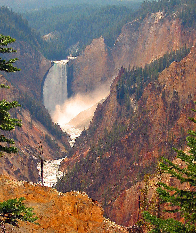 Distant Thunder-lower Waterfall Of Yellowstone Photograph By Carol Bruno