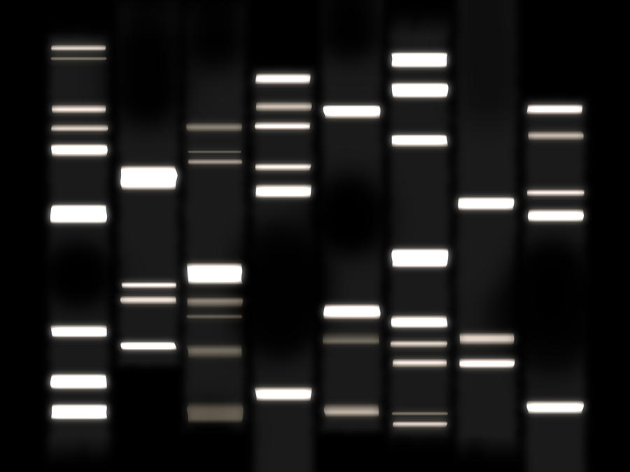 Dna Art