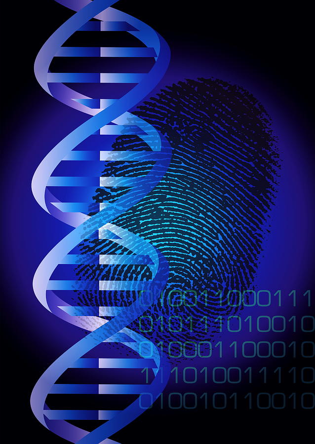 dna-fingerprint-photograph-by-david-nicholls