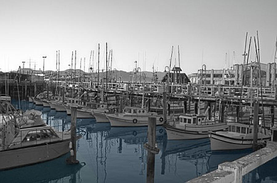  - docks-on-the-bay-dawn-elliott-